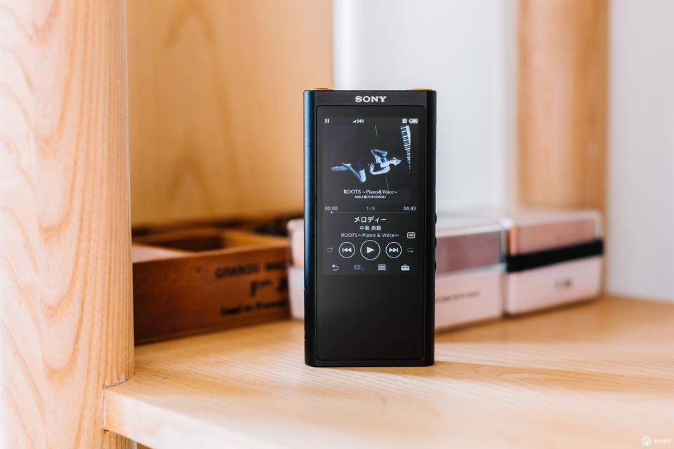 索尼nw-a306和zx300a哪个好,索尼walkmannw-e393