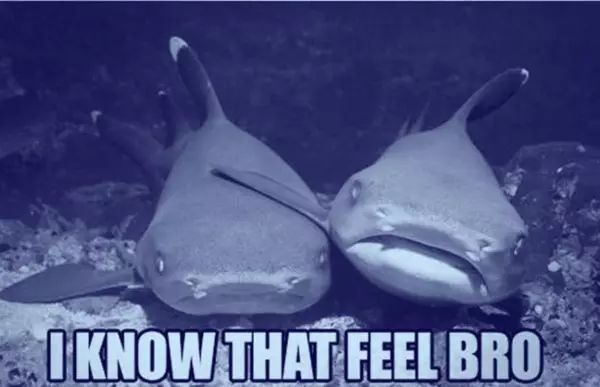 神仙水可以用来当防晒吗,用完神仙水直接用防晒隔离可以吗