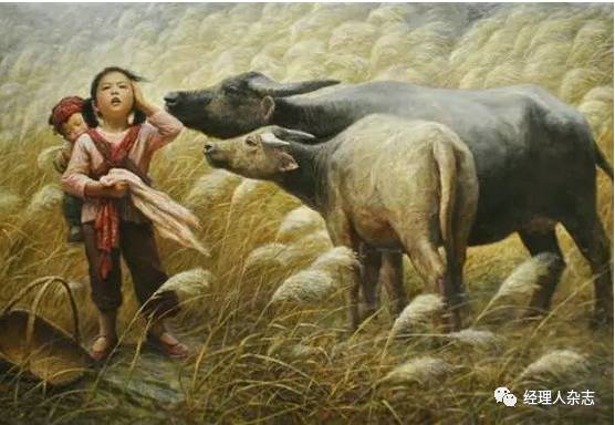 影视剧点击量造假调查：10元可刷一万个点击