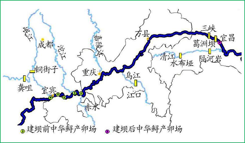 长江的各种濒危物种,长江生物多样性现状