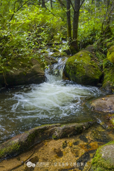 火山口探秘完整视频,镜泊湖火山口免费景点