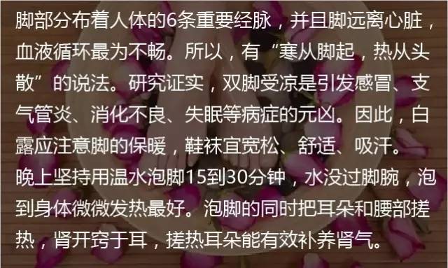 二十四节气白露转秋凉,白露节气落叶知秋凉