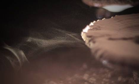 豆瓣评分8.4分，感动上亿中国观众，这部中草药版的《舌尖上的中国》，告诉你灵芝孢子粉的故事