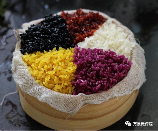 头条丨大家好!我叫巴马,这是我的简历,请多多关照!