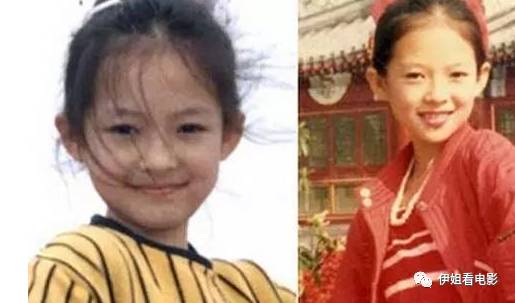 章子怡资本,章子怡有野心且任性的资本