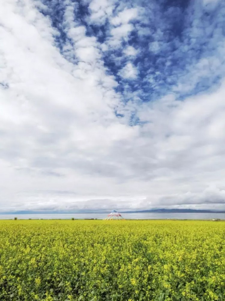 努比亚z17拍照教程,努比亚z17s全屏拍照