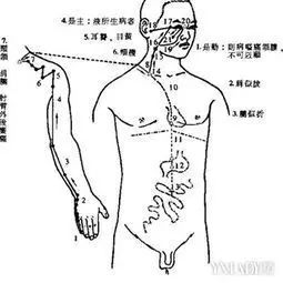 拍打让人越来越有精气神,拍打提高大脑精气神