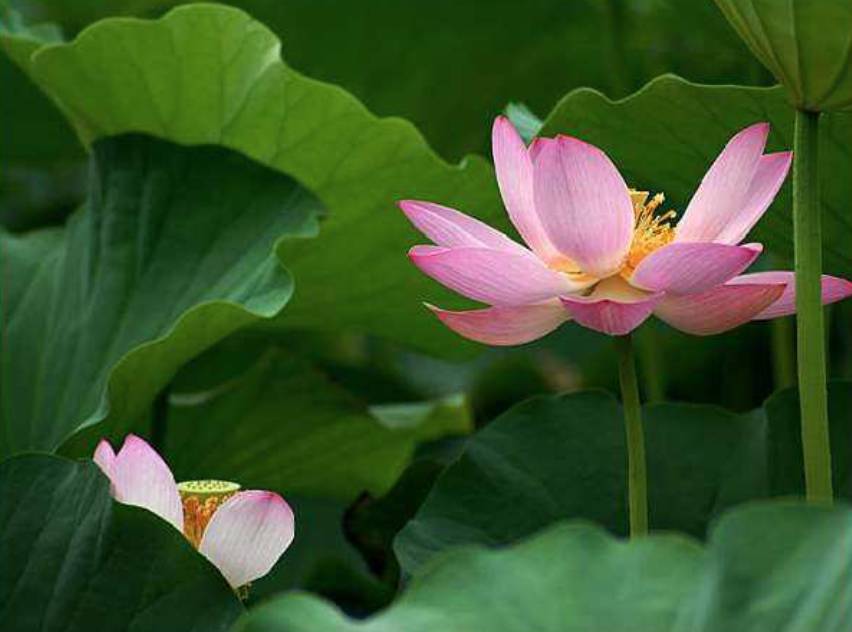 七个老师短视频,七个老师的视频