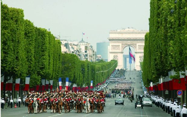 各国特色林荫道大盘点,“最美林荫道”随手拍等你来报名!