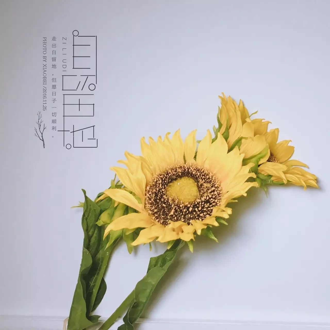 在淘宝买到什么好物,淘宝上为什么没有什么值得买