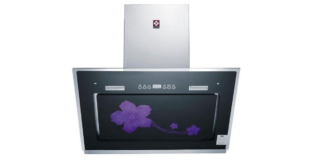 吸油烟机哪个牌子的好性价比高,什么牌子的顶侧双吸油烟机好