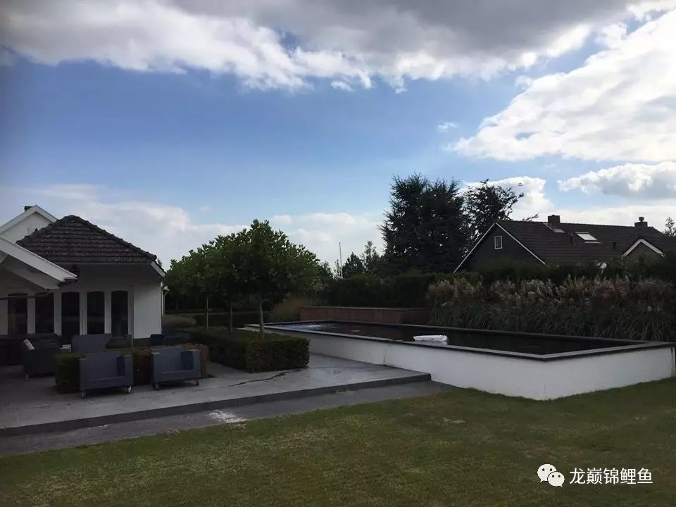 旧鱼池如何重新做防水,鱼池防水怎么做视频