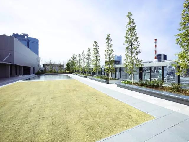 除了买买买还能干什么,除了买买买还能干啥