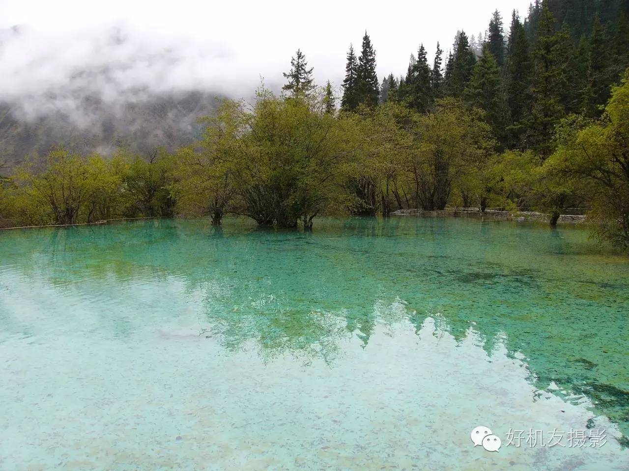 九寨沟黄龙峨眉山乐山自由行攻略,九寨沟旅游攻略及自由行景点介绍