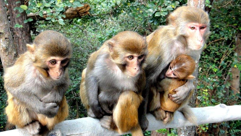 国庆假期出门攻略图文,国庆长假无聊安排