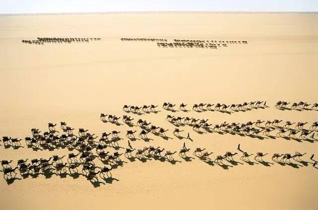 鍥藉鍦扮悊鏉傚織缇庡浘,鍥藉鍦扮悊鏉傚織楂樻竻澶у浘