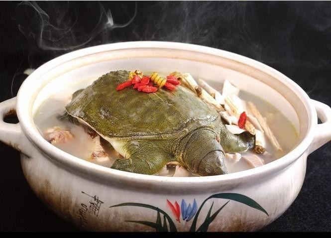 秋天甲鱼怎么吃有营养些,秋天甲鱼吃什么水果