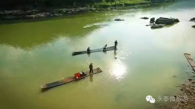 厉害了我区多家企业获省级殊荣,厉害了巢湖这个单位获国字号荣誉