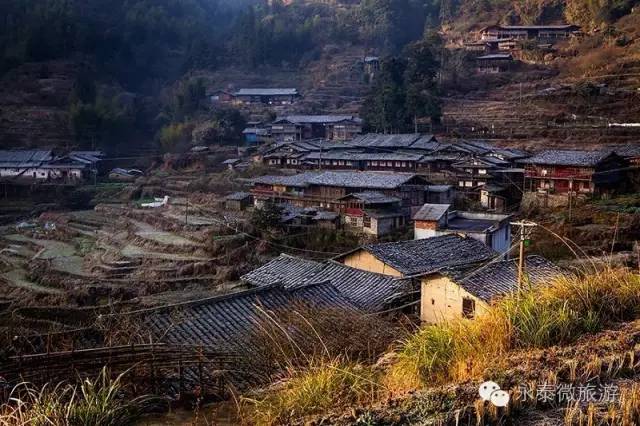 厉害了我区多家企业获省级殊荣,厉害了巢湖这个单位获国字号荣誉