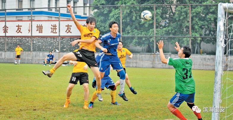 沙井文化节,宝安区西乡文化节