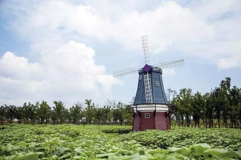 国庆假期出门攻略图文,国庆长假无聊安排