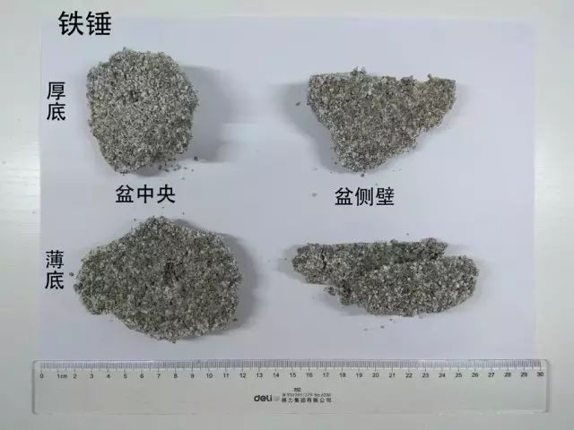 便宜好用膨润土,松木很不好吗