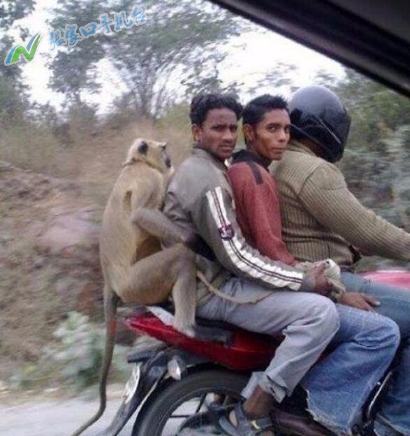 张家口新闻广播今日头条,张家口新闻联播今天