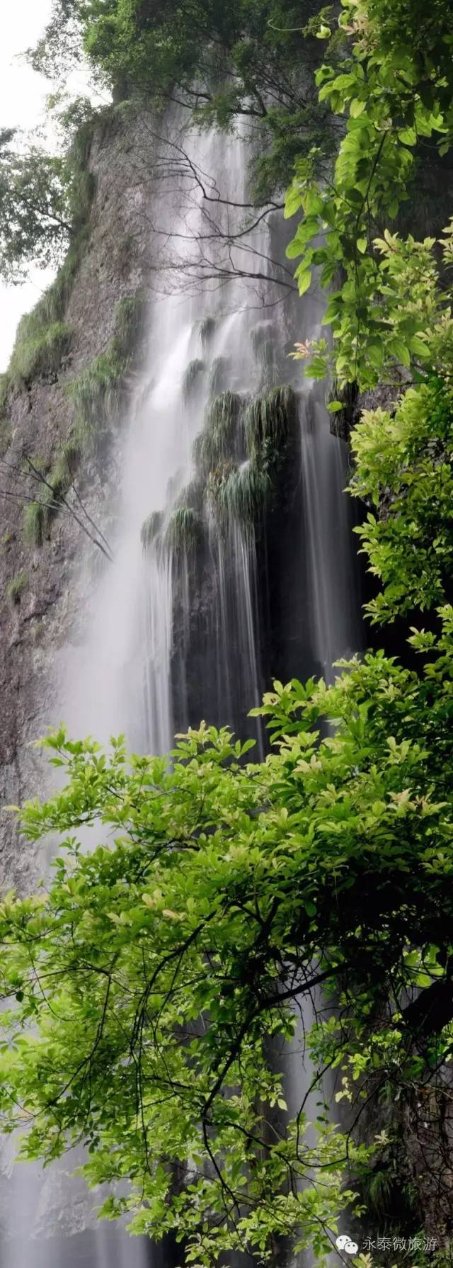 厉害了我区多家企业获省级殊荣,厉害了巢湖这个单位获国字号荣誉