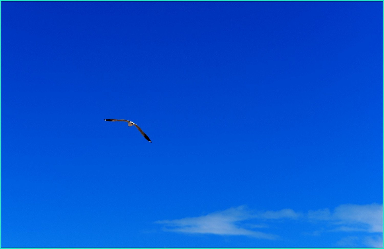 纳木错自然风景音乐,雪域高原天籁之音纳木错
