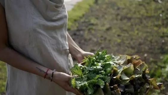 移居海岛的真实感受,移居海岛真实感受