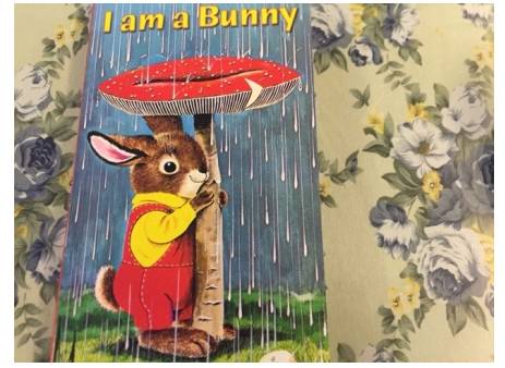 双语宝贝英语启蒙书推荐,亲子共读书本100例