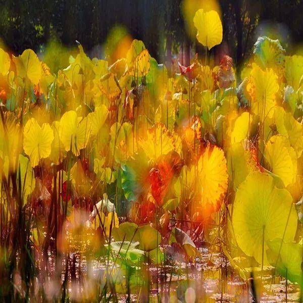 盘点名著里的经典语句,十大名著摘抄大全