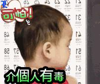 政治怎么复习效率高,政治怎么复习才能考高分