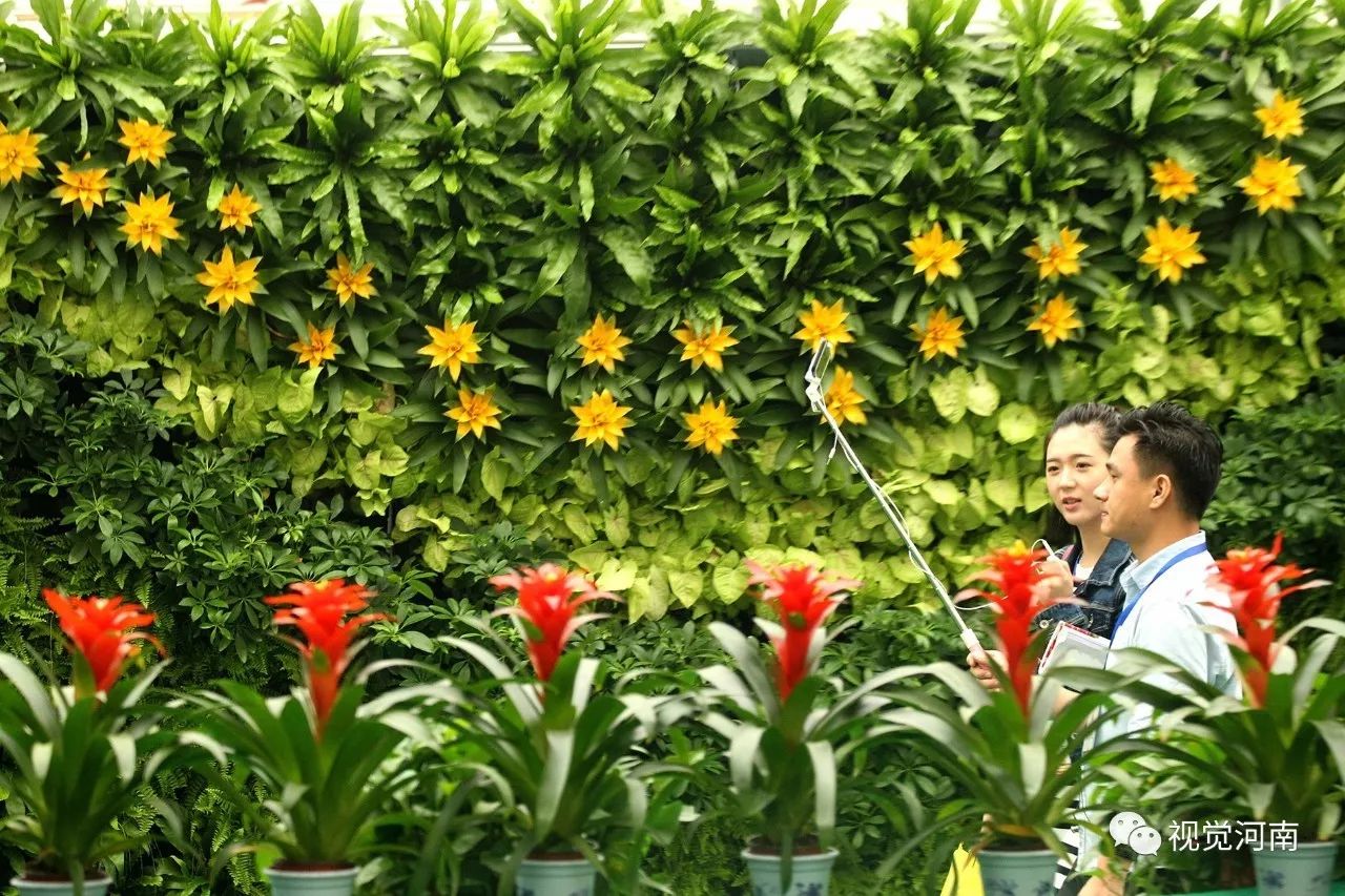 鄢陵2023花博会开幕式实况,河南许昌鄢陵花博会