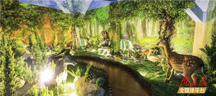 北师大庆阳附校喜报,你不知道的北师大