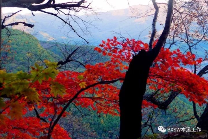 全年最美模式｜本溪预计接待游客650万人次交警送上全新“出行攻略”！