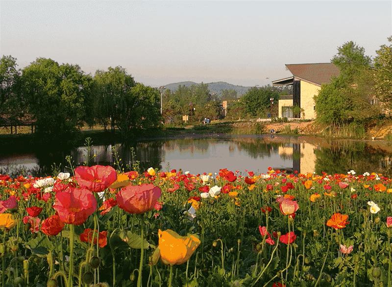 朋友过来玩让我安排怎么安排,朋友来玩两天要怎么安排