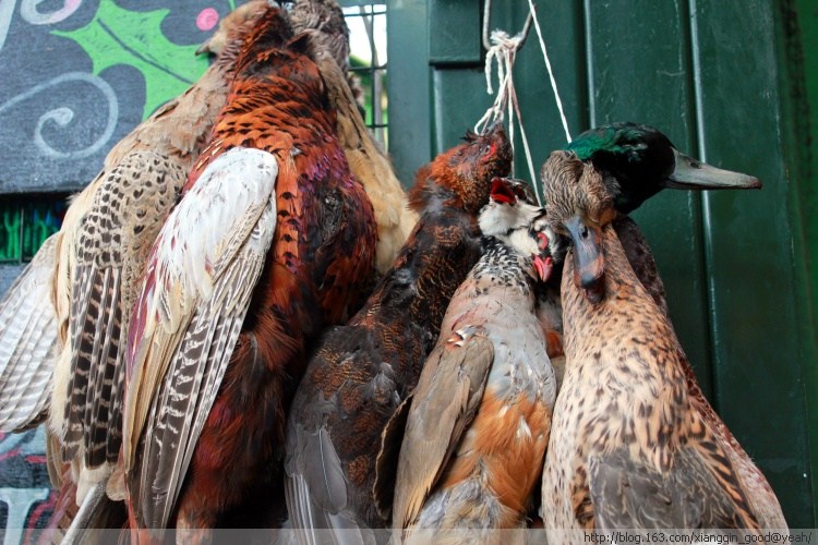 欧洲最古老的菜市场,伦敦市最古老集市