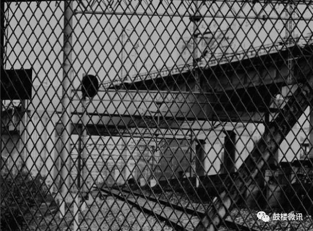 我们的故事从这里开始图片,我们的故事从这里开始普通话