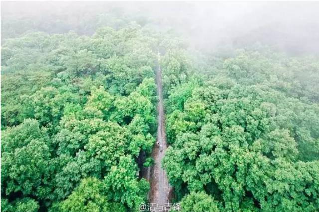 二百块钱玩南京一天,南京有哪些不要钱的游玩地方