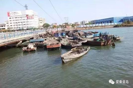 秦皇岛哪儿的海鲜便宜,秦皇岛海鲜值得推荐吗