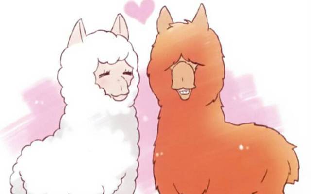 魔卡少女樱联名化妆品套盒,魔卡少女樱全部皮肤