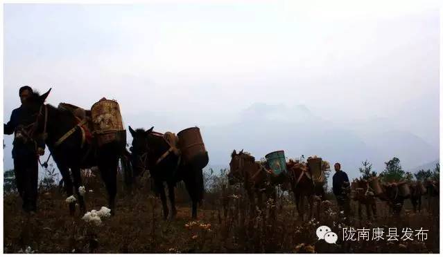 「相约康县」山水间歌声回荡，烟波里久违的故乡