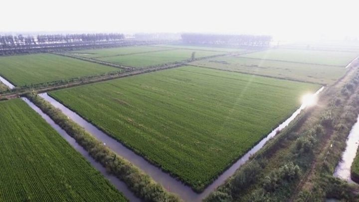 今晚6点，江苏卫视带你遇见最美的淮安