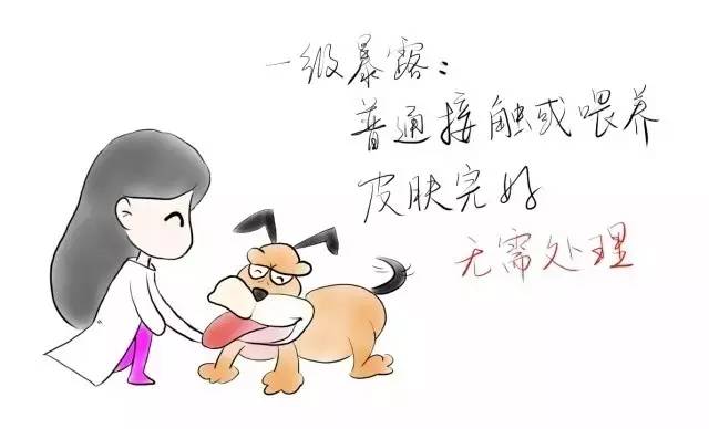 狗苗抓回来要打疫苗吗,买狗苗给狗苗打什么疫苗