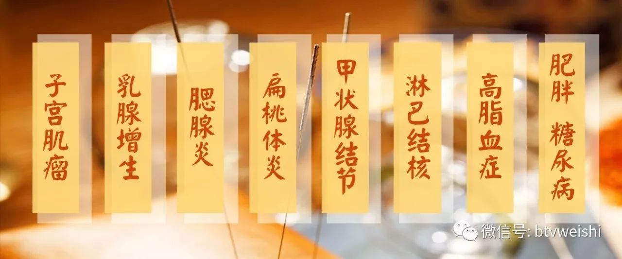 养生堂今日播出视频,养生堂一针一灸保健康