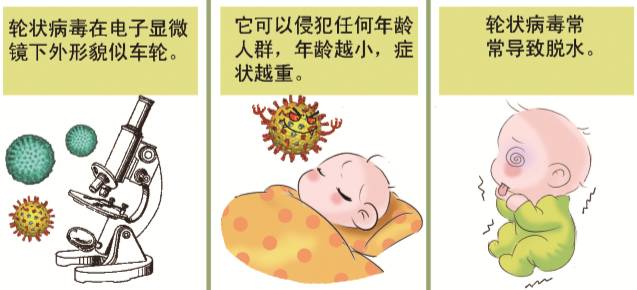 宝宝上吐下泻要警惕诺如病毒侵袭,儿童上吐下泻是不是轮状病毒