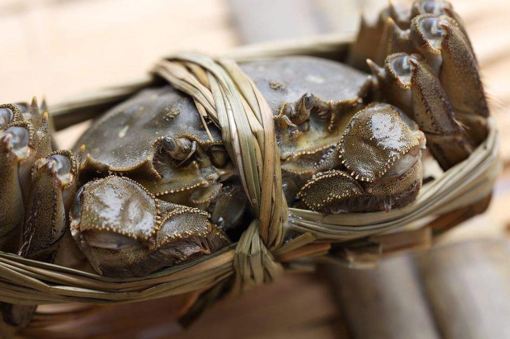 6小时送达，阿里、京东、顺丰都在抢大闸蟹，背后有多大生意？