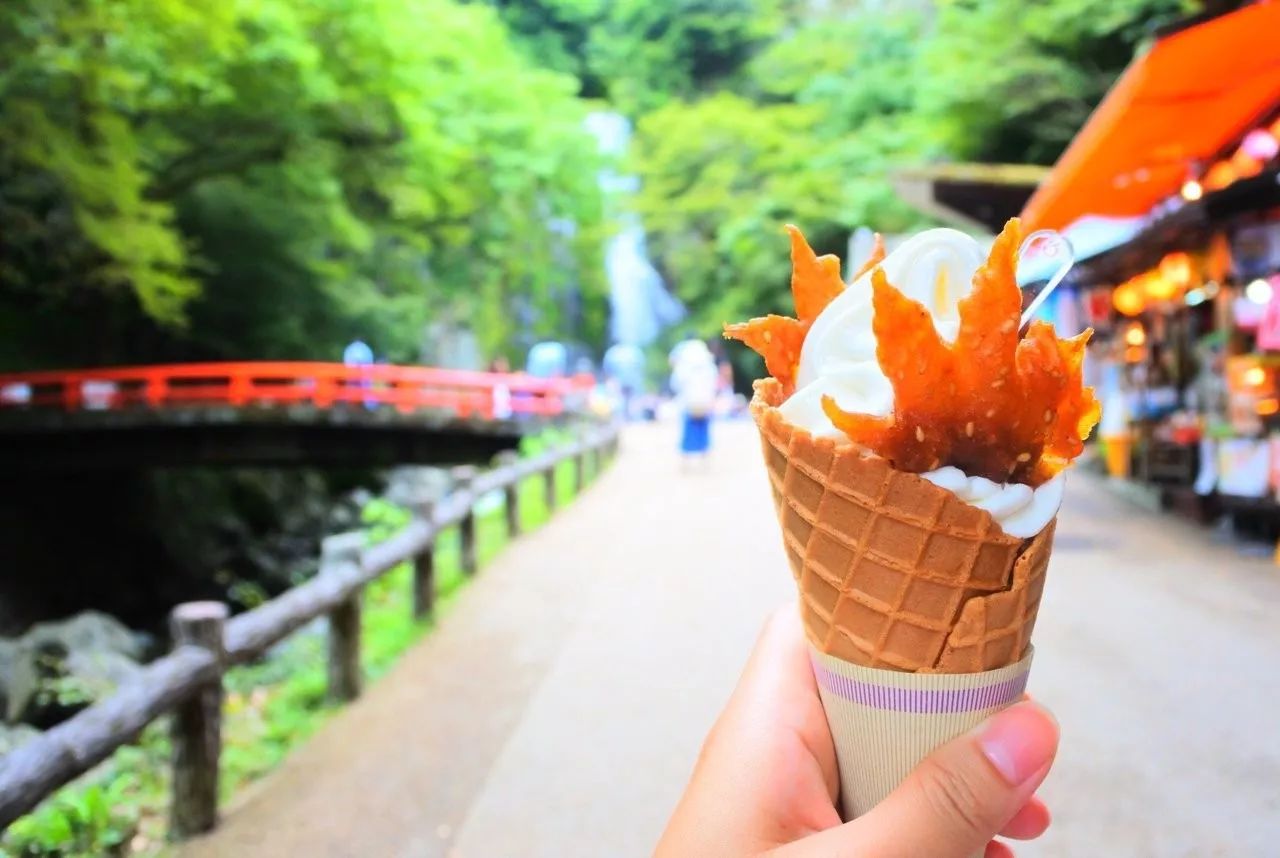 大阪箕面一日游,大阪箕面公园游玩