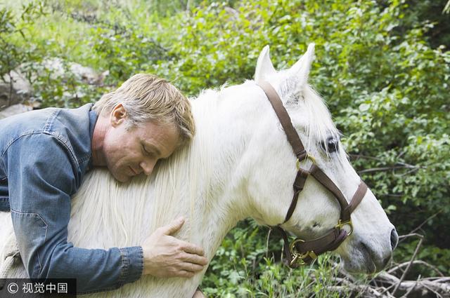 论一匹马的自我修养